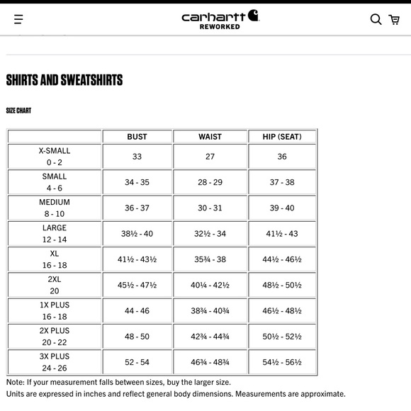 Women’s Carhartt Rain Defender Logo Pullover Hoodie XXL - Picture 4 of 4